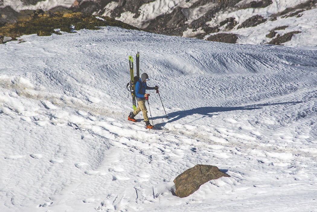 Photos: From Paradise in Mount Rainier National Park